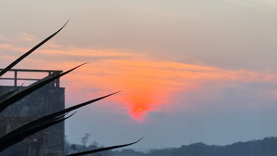 대부도 하와이다